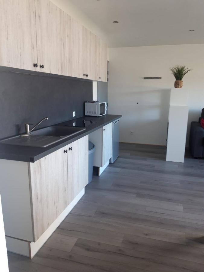 Appartement Gambetta Insolite à Chambéry Extérieur photo
